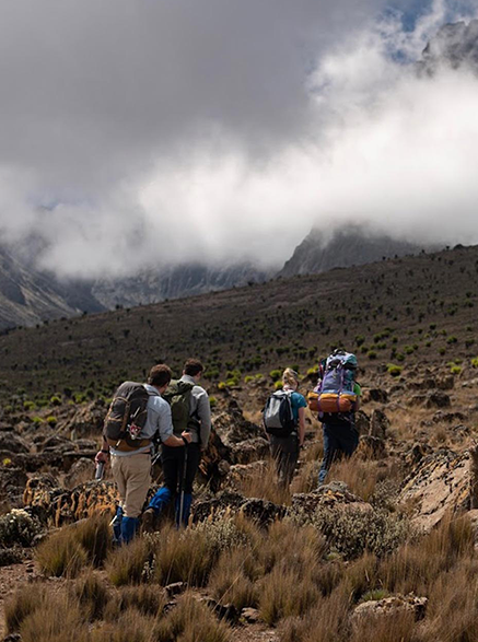 Group guided hike in Tanzania