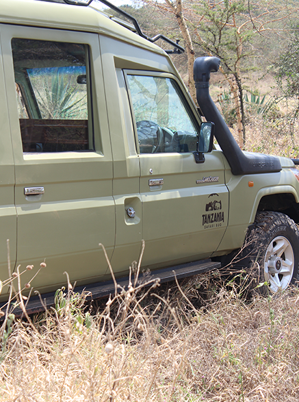 Tanzania Safari Bug safari vehicle