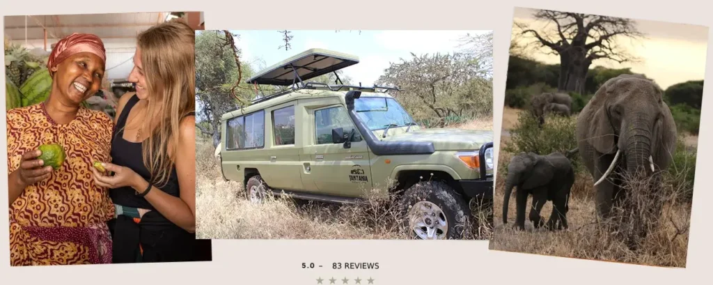 Tanzania Safari Bug highlights featuring safari vehicles, elephants in the wild and local community.