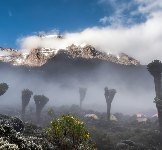 Mountains in Tanzania that are perfect for trekking holidays, including Kilimanjaro.